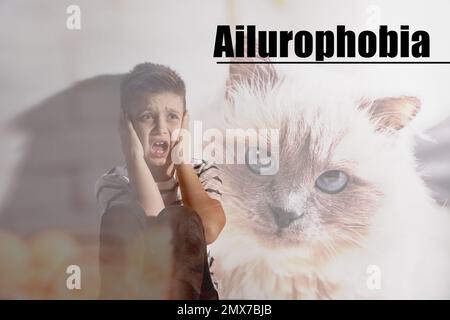 Little boy suffering from ailurophobia. Irrational fear of cats Stock Photo