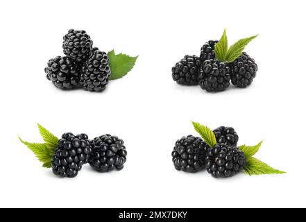 Set of ripe blackberries on white background Stock Photo