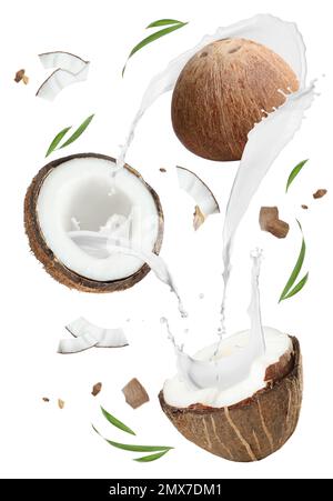 Exotic coconuts and splashes of milk isolated on white Stock Photo