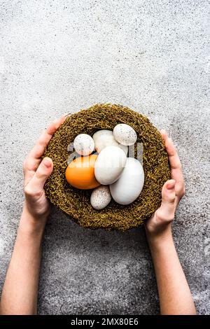 From above cropped unrecognizable child holding nest with easter eggs in concrete table Stock Photo