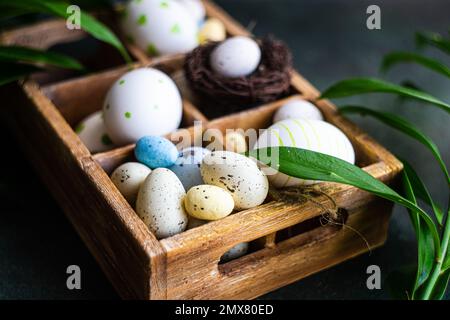 From above spring Easter wooden box with colored eggs and nest surrounded by italian Ruscus plant Stock Photo