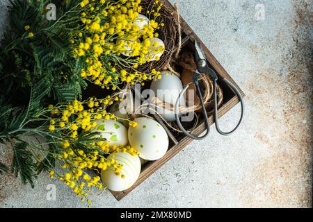 Easter card concept with nest and bright yellow mimosa flowers Stock Photo