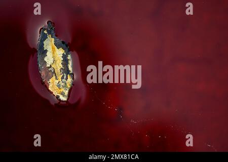 Full frame of red colored paint applied on old metal surface with uneven smudge of rusted corrosion and golden dust Stock Photo