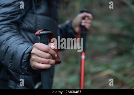 Anonymous female hiker in warm wear with trekking sticks walking on grassy ground in autumn forest Stock Photo