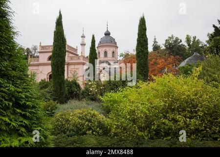 Topiary and Rhus typhina 'Staghorn' - Sumac tree in Rote Moschee Mosque in Turkish garden at Schwetzingen palace in late summer, Schwetzingen, Germany. Stock Photo