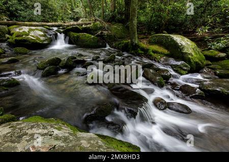 the-roaring-fork-stream-behind-the-historic-jim-bale-s-place-along-the