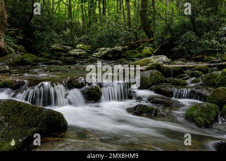The Roaring Fork stream behind the historic Jim Bale's Place along the Roaring Fork Motor Nature Trail in the Great Smoky Mountains National Park, USA. Stock Photo