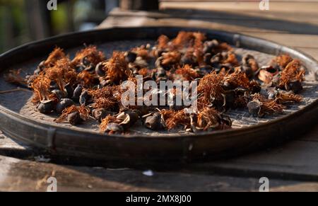 Mushrooms from a local Burmese market left out on a bamboo platter to dry in the sun. Stock Photo