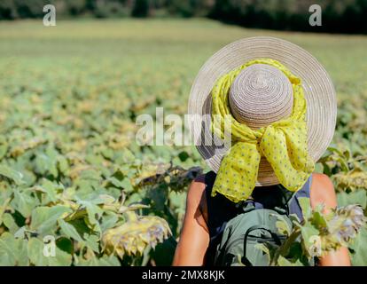 Close-up of a woman with her back turned hiking, wearing a hat and backpack in front of a field of sunflowers on a sunny day. copy space. horizontal f Stock Photo