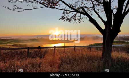 Sunrise in the golf club with tree and fence in the foreground Stock Photo