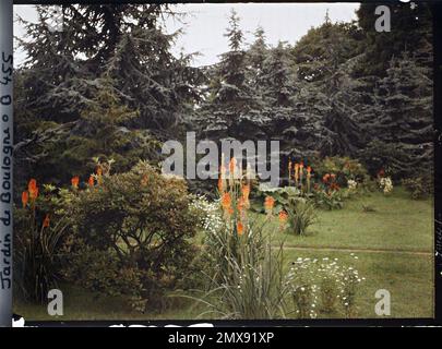 Property of Albert Kahn, Boulogne, France alleged south of the Marais bordered by Kniphofias in flowers , Stock Photo