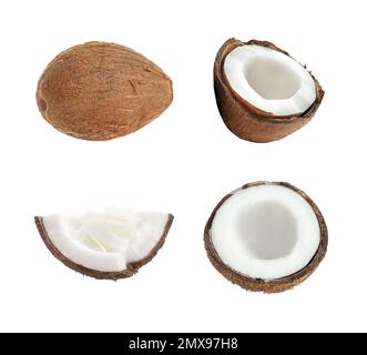Set of ripe coconuts isolated on white Stock Photo