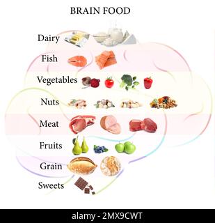 Set with different brain food on white background Stock Photo