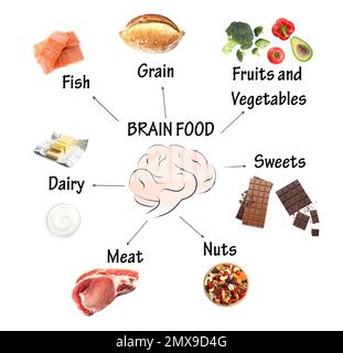 Set with different brain food on white background Stock Photo