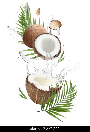 Exotic coconuts and splashes of milk isolated on white Stock Photo