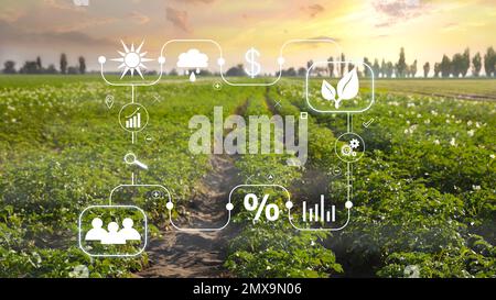 field #plants #sky #Sun Agro (Plants) #1080P #wallpaper #hdwallpaper  #desktop | Phone wallpapers vintage, 4k wallpapers for pc, Wallpaper