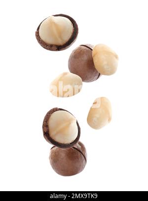 Delicious Macadamia nuts falling on white background Stock Photo