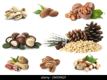 Set of different nuts on white background Stock Photo