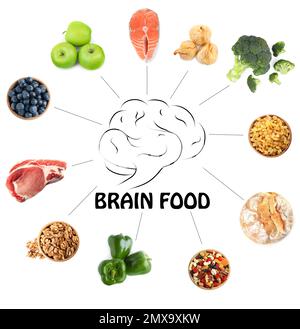 Set with different brain food on white background Stock Photo