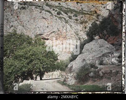 Surroundings of Delphi, Greece elbow of the Arakhova pass road. Rocks with recent white inscriptions. On the left, two large plane trees , 1913 - Balkans, Italy - Jean Brunhes and Auguste Léon - (September - October 23) Stock Photo