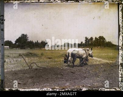 China probably in the western surroundings of Beijing , 1912 - China - Stéphane Passet Stock Photo