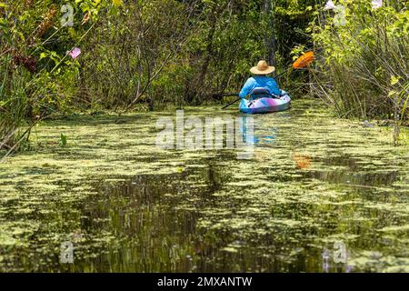 Kayaker paddling toward a tree canopy passage to the North Guana Outpost along the Guana River in Ponte Vedra Beach, Florida. (USA) Stock Photo