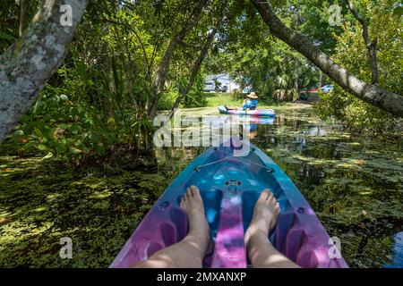 Kayaker view beneath the tree canopy near the North Guana Outpost launch on the Guana River in Ponte Vedra Beach, Florida. (USA) Stock Photo