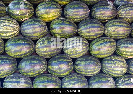 Rows of watermelons in one pile, Thailand Stock Photo