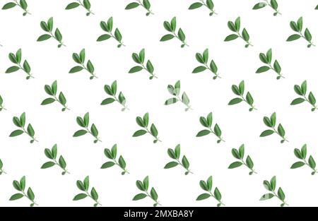 Pattern of lemon tree leaves on white background Stock Photo