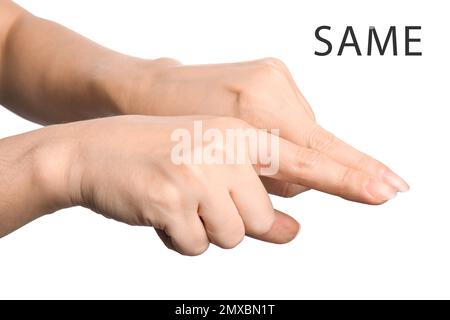 Woman showing word Same on white background, closeup. American sign language Stock Photo