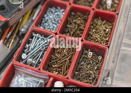 many different screws in the  organizer of master for work Stock Photo