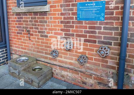 Dog area outside a cafe, with water bowls and hooks to tie leads of dogs, UK Stock Photo