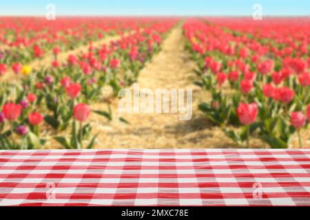 Picnic table with checkered red napkin and beautiful tulips on background Stock Photo