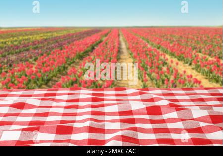 Picnic table with checkered red napkin and beautiful tulips on background Stock Photo