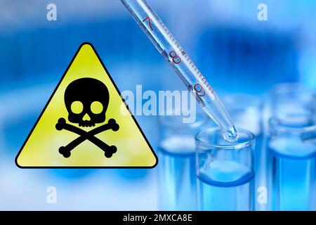 Poison sign and Dripping reagent into test tube in laboratory, closeup Stock Photo