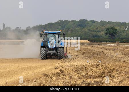 In Parham rural Suffolk a harrowing blue tractor making a drifting dust ...