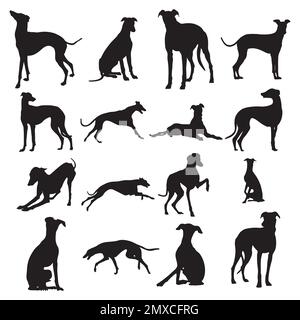 Greyhound dog silhouettes, Greyhound dog animal silhouette collection Stock Vector