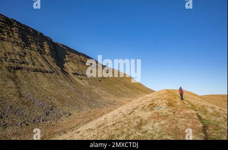 Walker ascending the path to Llyn y Fan Fawr beneath the Old Red Sandstone cliffs of Fan Hir in the Brecon Beacons National Park of South Wales UK Stock Photo