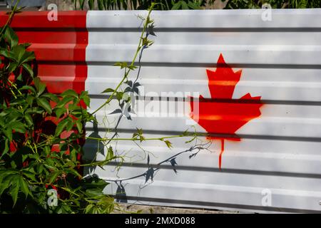 The concept of national flag on metal container pattern background ,Canada. Stock Photo