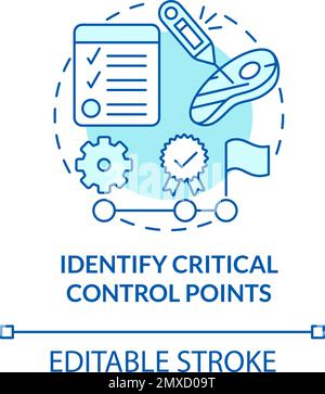 Identify critical control points turquoise concept icon Stock Vector