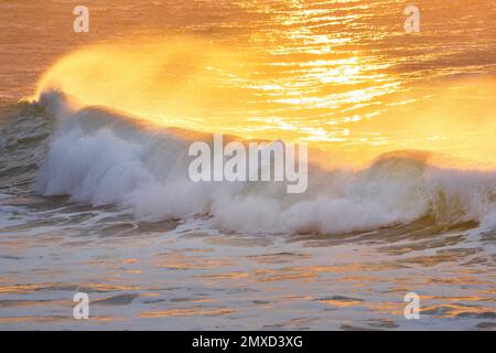 big wave breaking in golden evening light on the open sea on the west coast of Brittany, France, Brittany, Brest Stock Photo