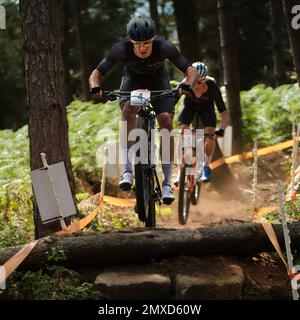 Commonwealth Games 2022, Cannock Chase Stock Photo
