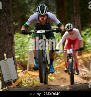 Commonweath Games 2022, Cannock chase UK. mountain Biking Stock Photo