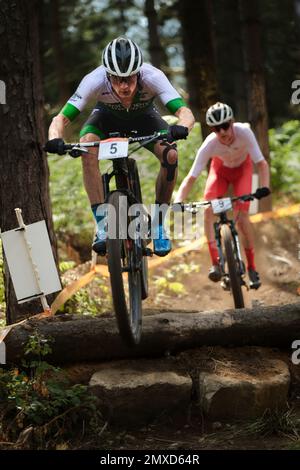 Commonweath Games 2022, Cannock chase UK. mountain Biking Stock Photo