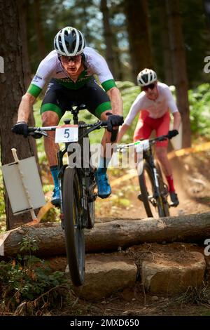 Commonwealth Games 2022, Cannock chase UK. mountain Biking Stock Photo