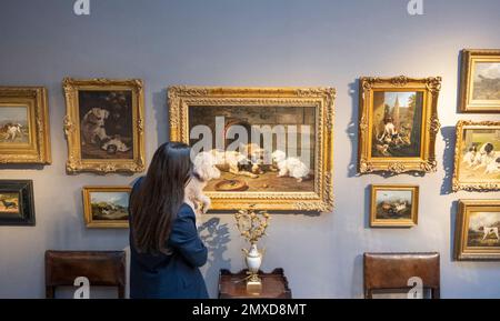 Christie’s, London, UK. 3 February 2023. Preview of sale on 9th February comprising 266 lots spanning 19th century and Old Master paintings, including a notable group of dog paintings, fine furniture, clocks, porcelain, silver, soft-furnishings and lighting. Image: Henriette Ronner-Knip (Dutch, 1821-1909), Dogs fighting over a bone, viewed by Lily the poodle, estimate £8,000 – £12,000. Credit: Malcolm Park/Alamy Live News. Stock Photo