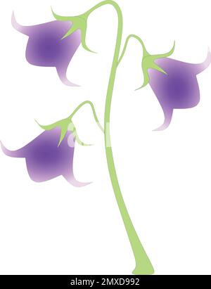 【希少】A Darden of Bell Flowers mqdefault.jpg