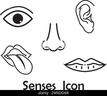 Five senses outline icons vector of set. Mouth and ear, human eye and ...