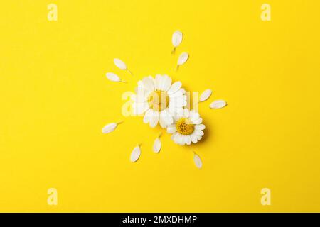 Flat lay composition with fresh chamomiles on yellow background Stock Photo