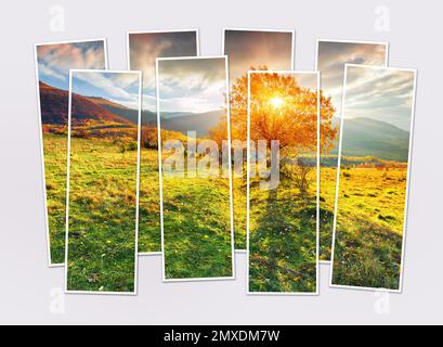 Isolated eight frames collage of picture of lonely autumn tree against dramatic sky in Carpathian mountains. Mock-up of modular photo. Stock Photo